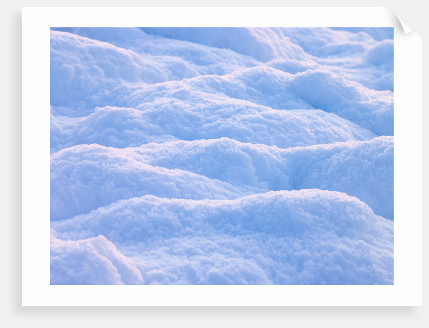 Snow by Assaf Frank